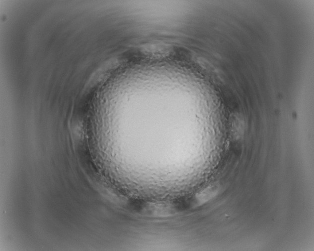 X0000077970713200610271134