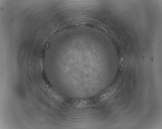 X0000077970772200610271133