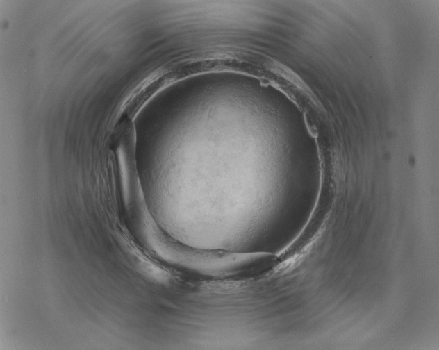 X0000077970826200610271132