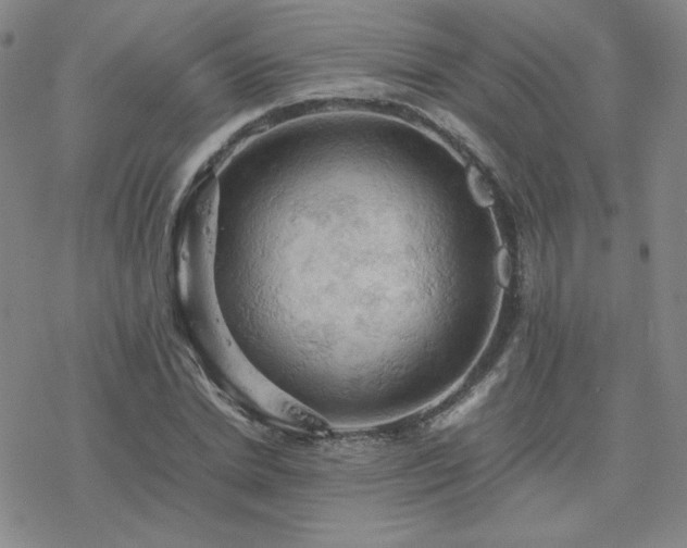 X0000077970830200610271132