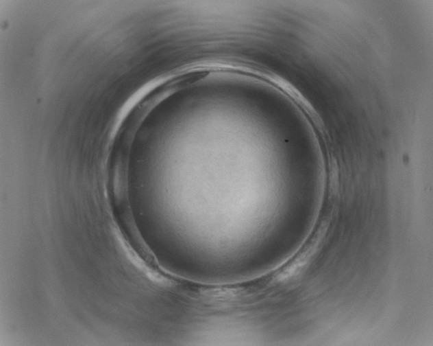 X0000077970862200610271132