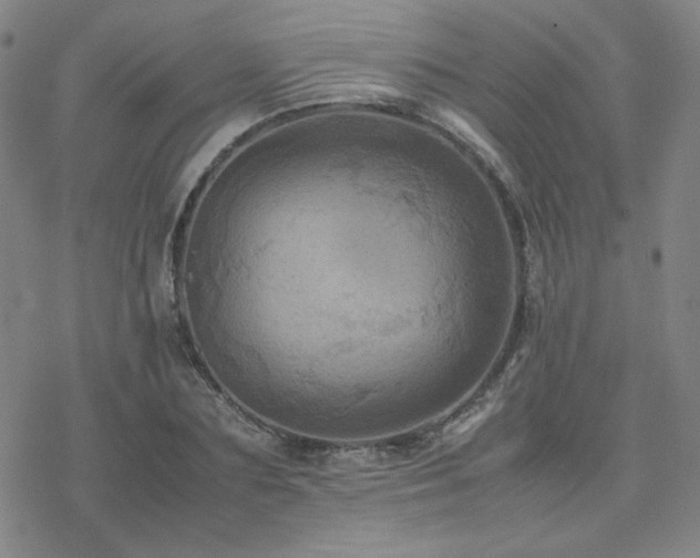 X0000077970883200610271131