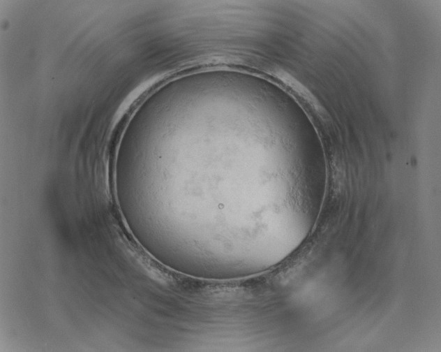 X0000077970886200610271131