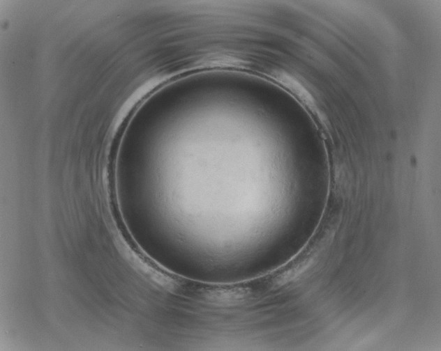 X0000077970947200610271131