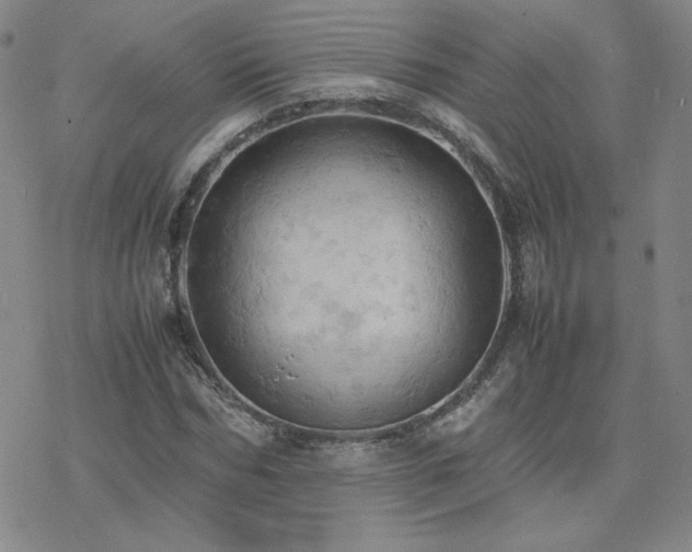 X0000077970970200610271130