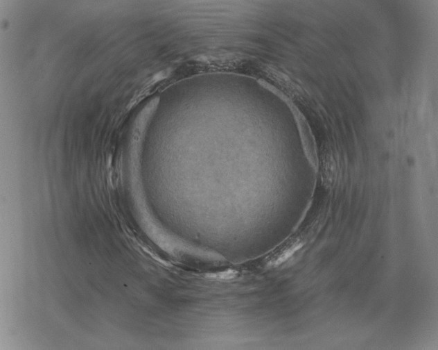 X0000077971010200610271129