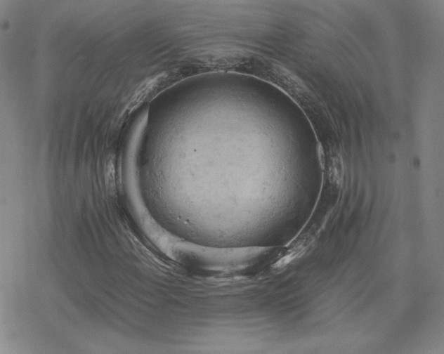 X0000077971108200610271127