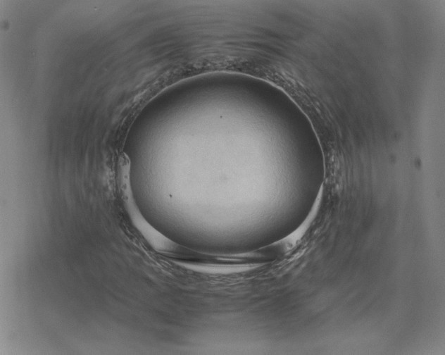 X0000077971109200610271127