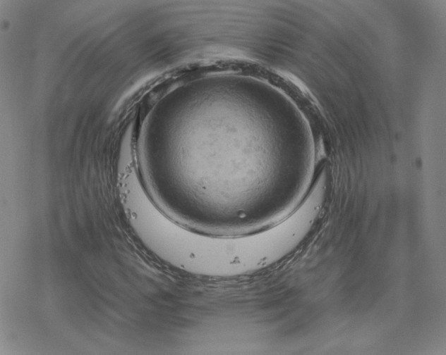X0000077971112200610271127