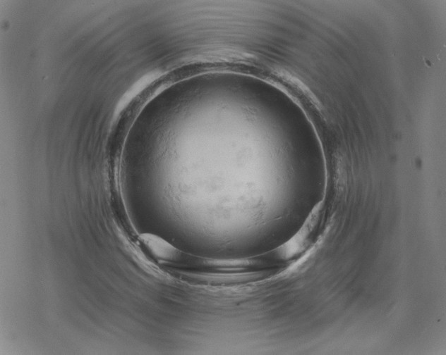 X0000077971114200610271127