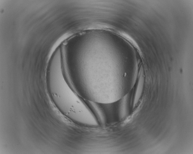 X0000077971138200610271128