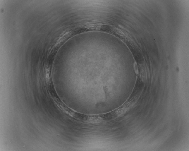X0000077971154200610271127