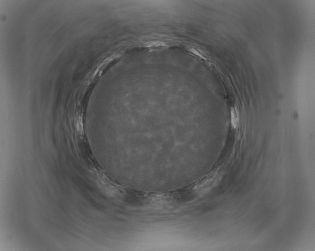X0000077971155200610271127