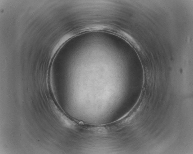 X0000077971186200610271126