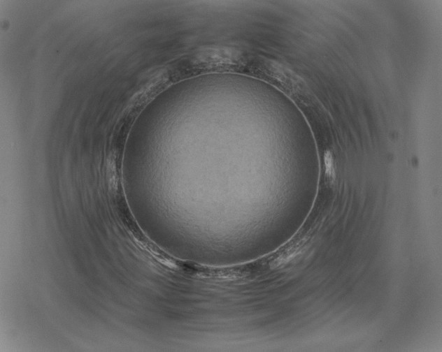 X0000077971203200610271125