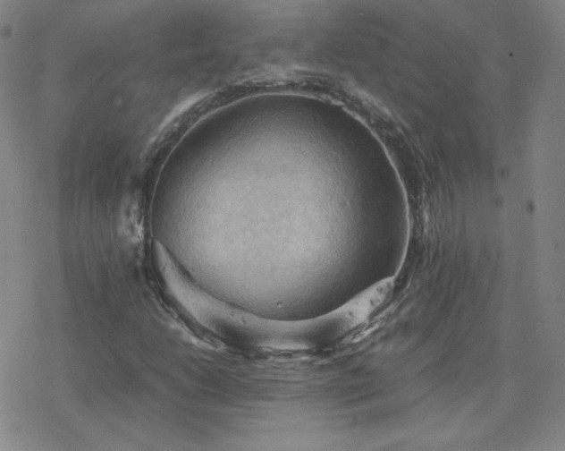X0000077971206200610271125