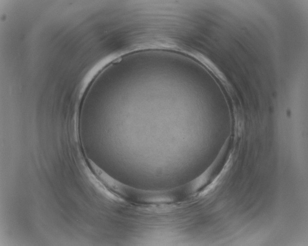 X0000077971246200610271126
