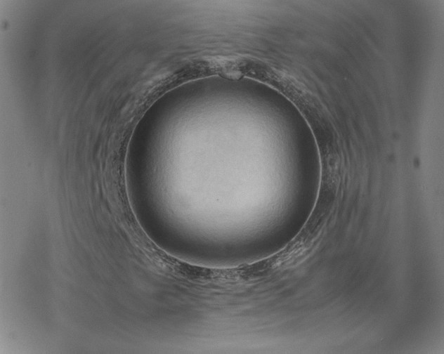 X0000077971249200610271125