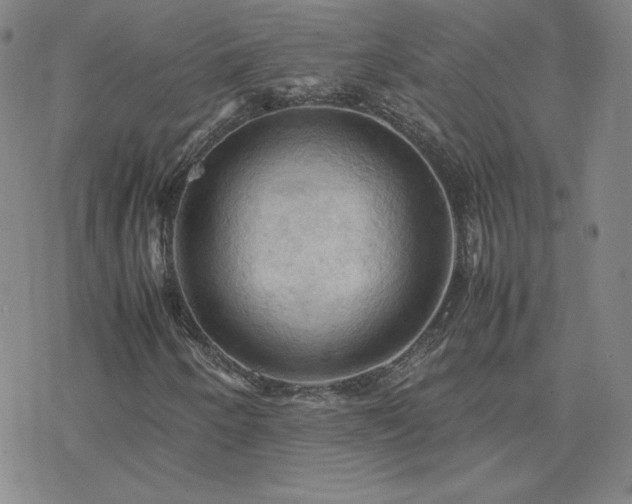 X0000077971250200610271125