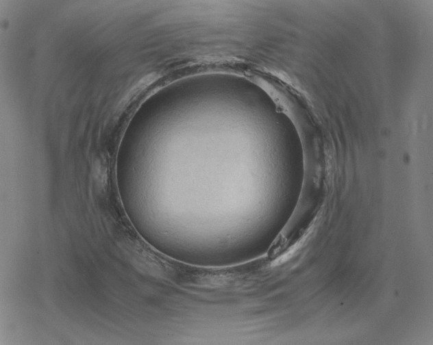 X0000077971257200610271125