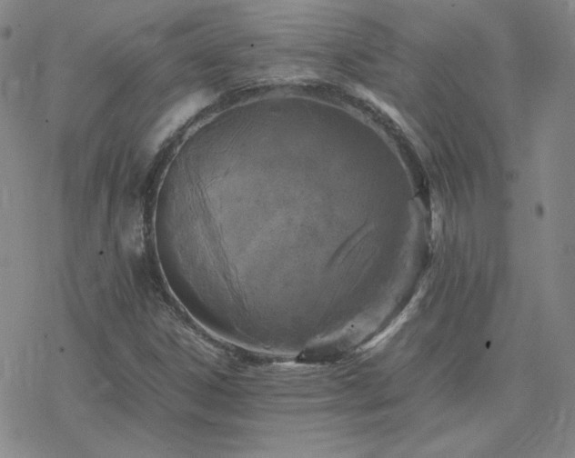 X0000077971306200610271124