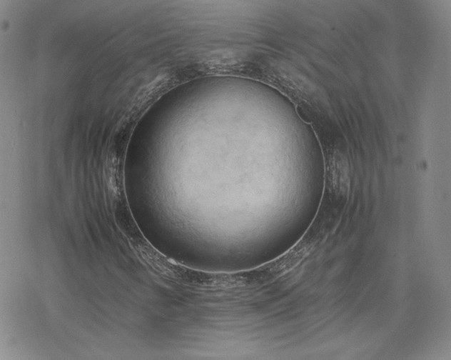 X0000077971346200610271124