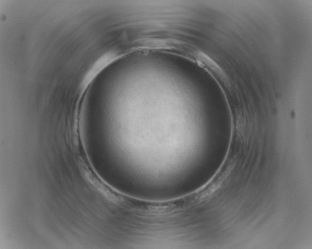 X0000077971378200610271123