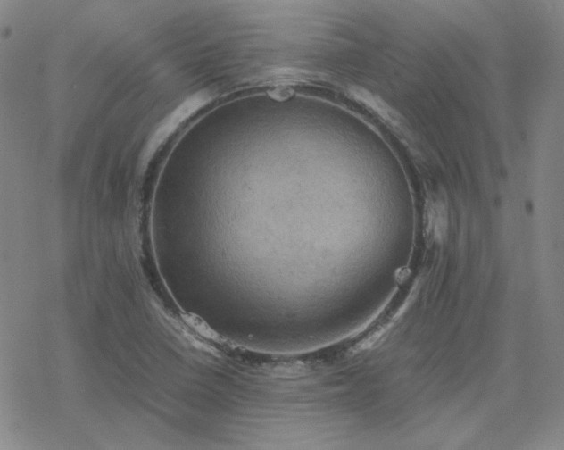 X0000077971410200610271123