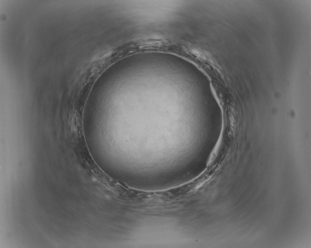 X0000077971445200610271122