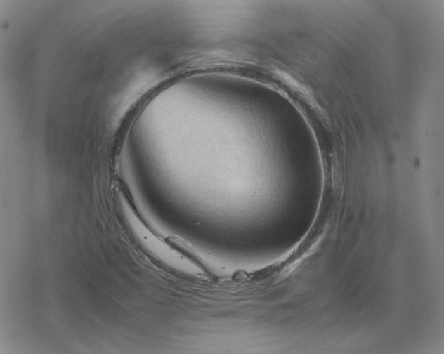 X0000077971453200610271122