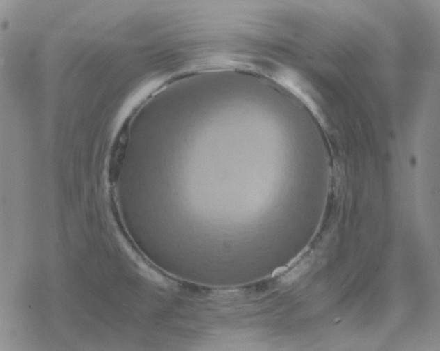X0000077971477200610271122