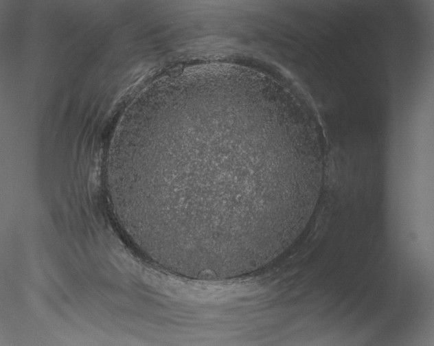 X0000077970018200611031345