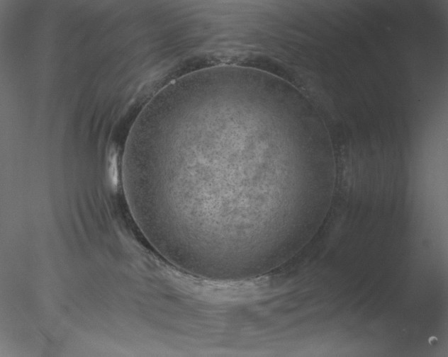 X0000077970042200611031345