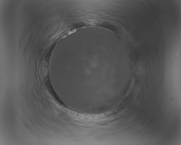 X0000077970043200611031345