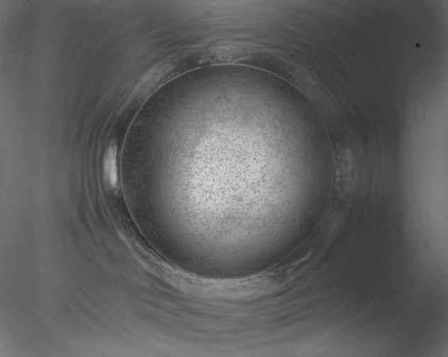 X0000077970046200611031345
