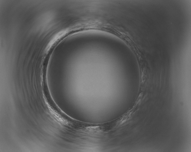 X0000077970054200611031344