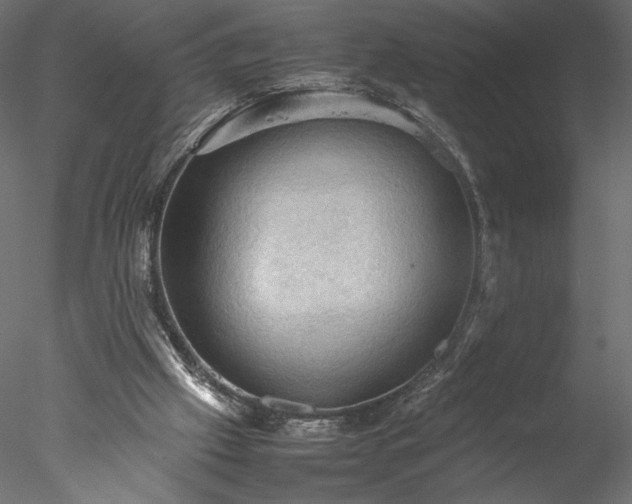X0000077970057200611031344