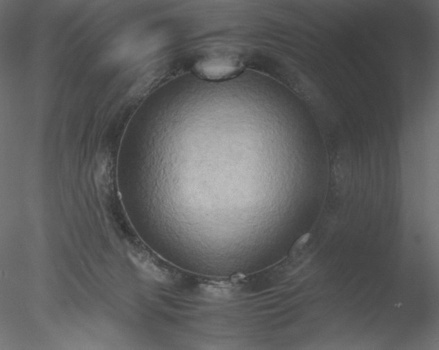 X0000077970079200611031345