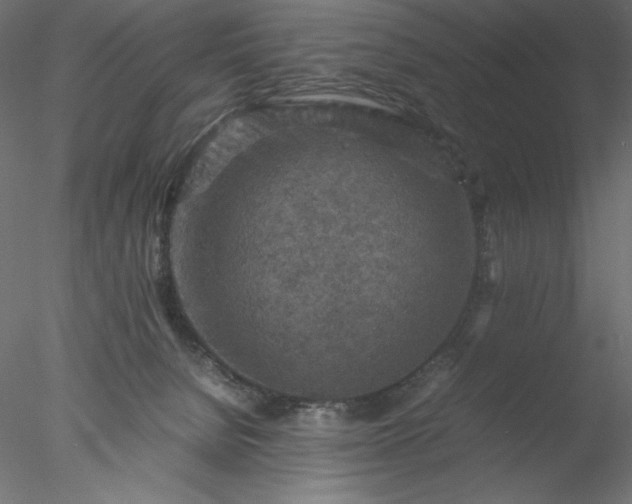 X0000077970080200611031345