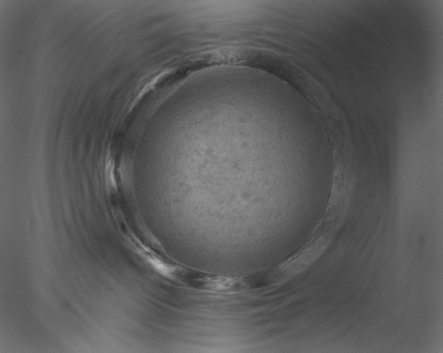 X0000077970096200611031345