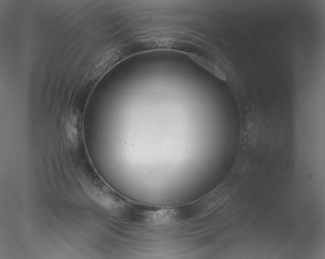 X0000077970122200611031344