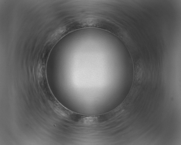 X0000077970126200611031344
