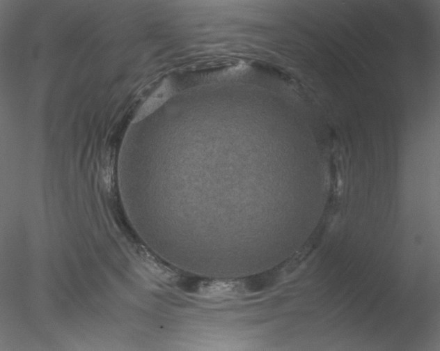 X0000077970129200611031343