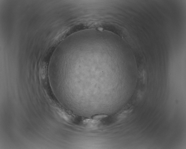 X0000077970133200611031343