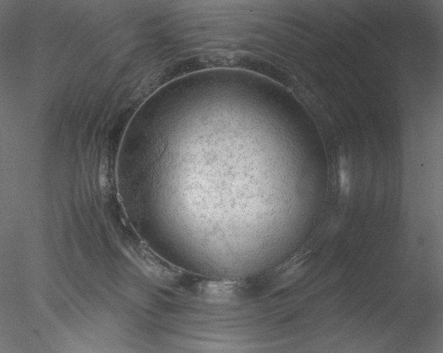 X0000077970134200611031343