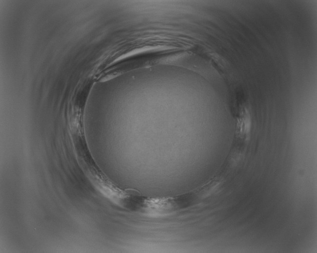 X0000077970141200611031343