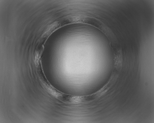 X0000077970142200611031343