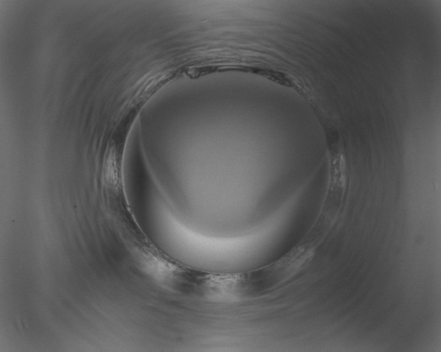 X0000077970143200611031343
