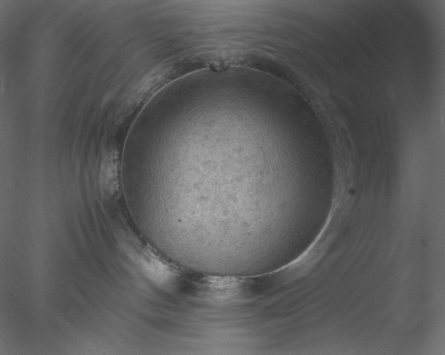 X0000077970144200611031343