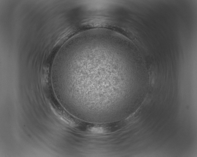 X0000077970171200611031343